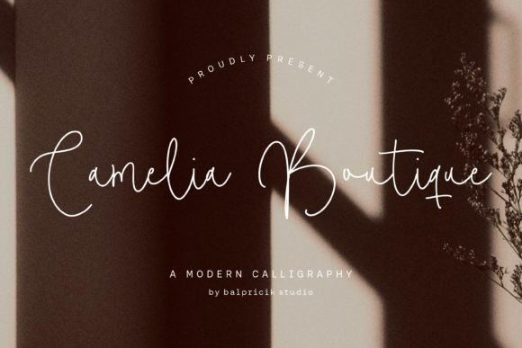Camelia Boutiue: A Clean Handwritten Font for Real Business Branding